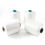 100D DTY Garment Yarn