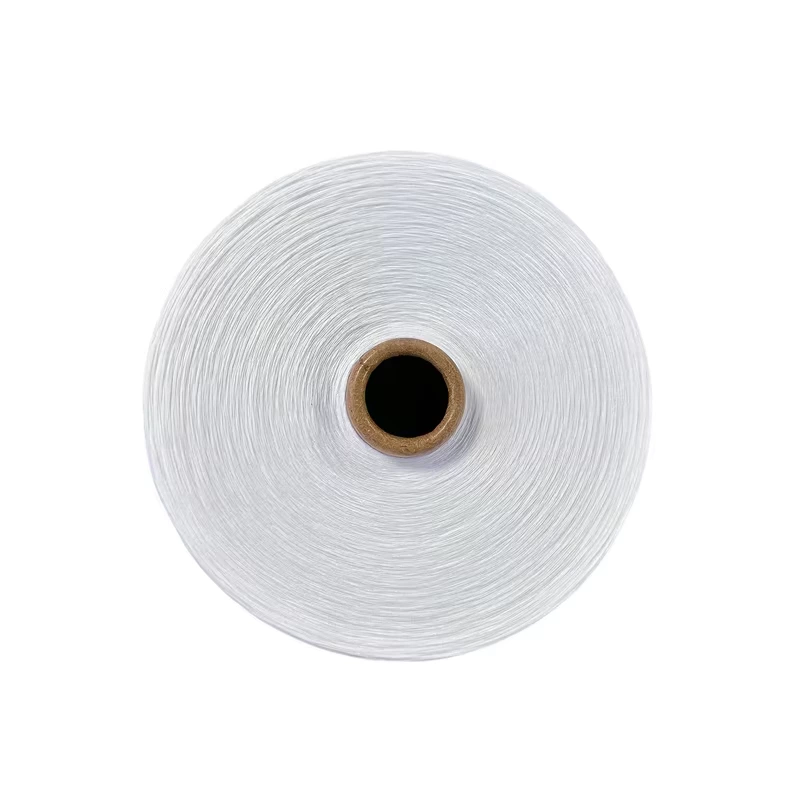 Dty 100D Light Poly Yarn
