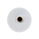 Dty 100D Light Poly Yarn