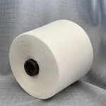 Dty 100D Light Poly Yarn