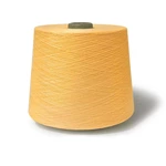 100d 36f Full Dull Poly Yarn