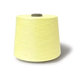 Anti-bact. 100d/36f Poly Yarn